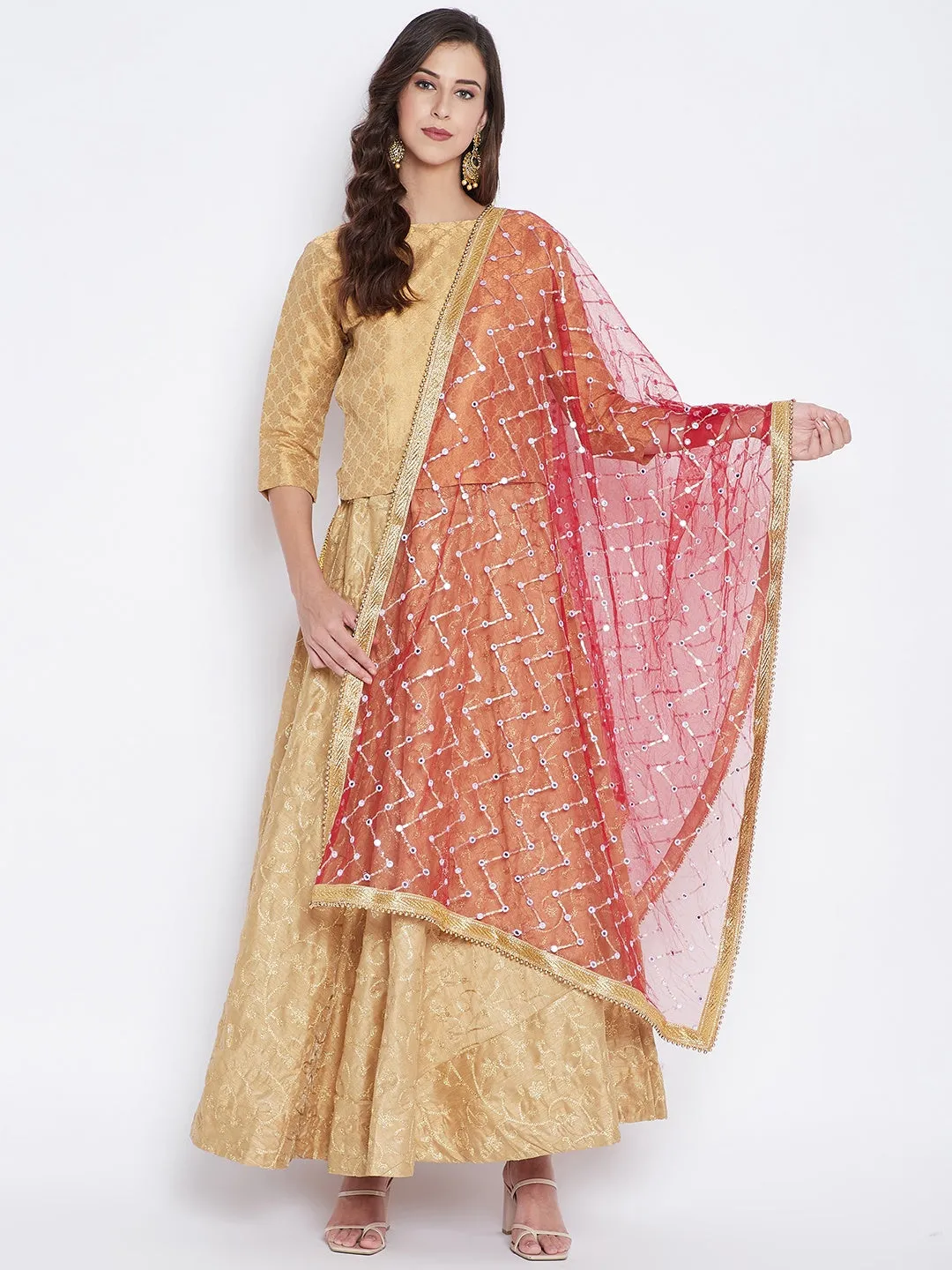 Women Maroon Mirror Work Net Dupatta